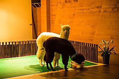 俯视角射击游戏《Z字特遣队》DLC“虚空幻境”预告，赛博女仆性感首曝